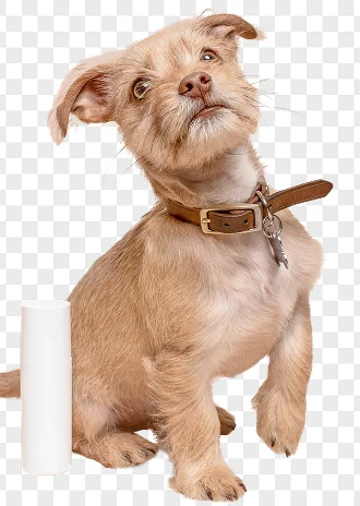 Change image background